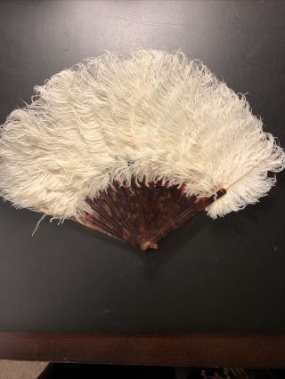 Antique Victorian White Ostrich Feather Fan W/faux Tortoise Shell Sticks