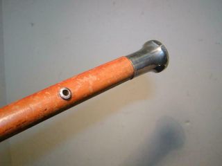 Antique Sterling Silver Topped Walking Stick / Cane,  Hardwood Shaft,  34.  5 " Long