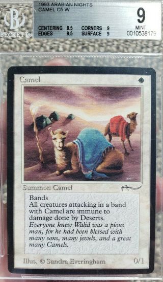 Vintage Magic | Mtg Bgs 9 Arabian Nights Camel,  W/9.  5,