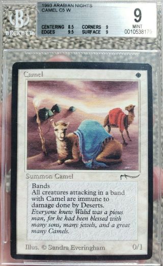 Vintage Magic | MTG BGS 9 Arabian Nights Camel,  w/9.  5, 2