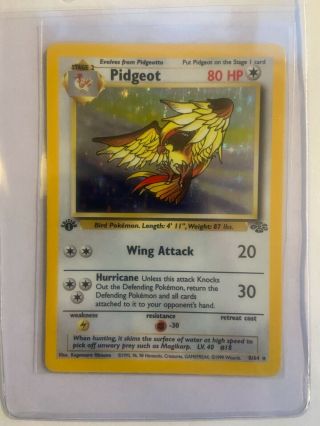 Pidgeot 1st Edition - Pokemon Card 1999 Jungle Set 8/64 Holo Foil