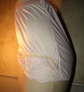 Vintage Pink Nylon Granny Mushroom Gusset Panties Sheer Chiffon Lace 6 M Custom