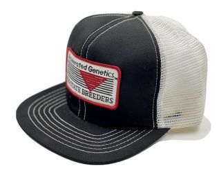 Stylemaster Accelerated Genetics Logo Patch Hat Snapback Trucker Cap Made In Usa