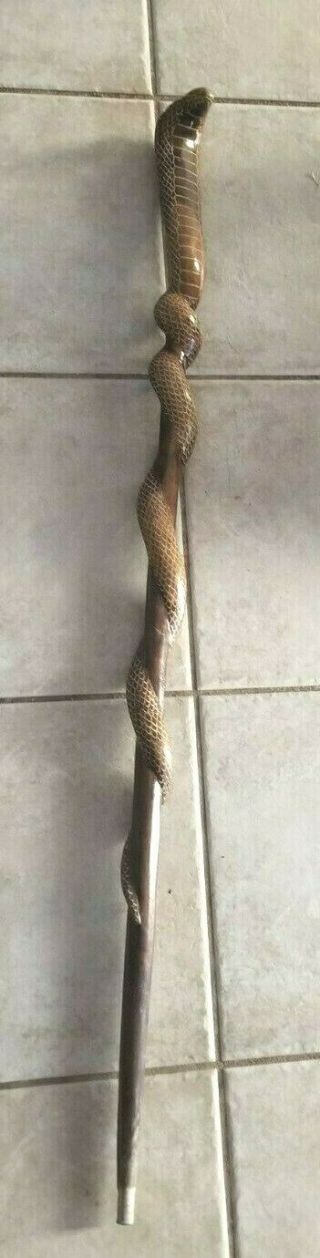 Vintage Folk Art Hand Carved Wood Cobra Snake Walking Stick Cane 39 " Tall