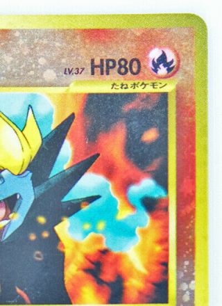 Entei Holo No.  244 First Edition Vintage Very Rare Pokemon Card Japanese F/S 3