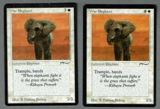War Elephant (2 Cards) - Arabian Nights - 1 Dark/1 Light Mana Symbols - Mtg - Lp