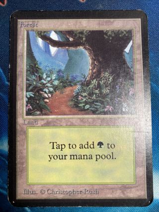 MTG 1x ALPHA FOREST vintage magic the gathering (some inking) 2