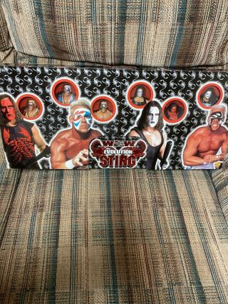 Toy Biz Wcw The Evolution Of Sting 6 Pack Action Figure Wrestling Wwf Wwe