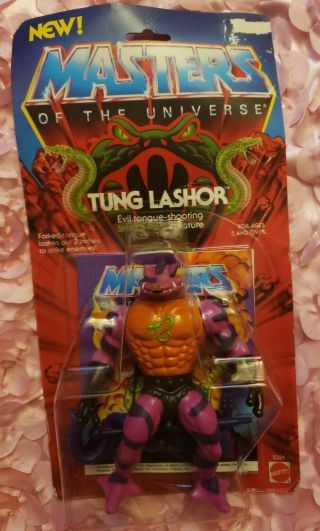 Masters Of The Universe Motu Tung Lashor He - Man Moc