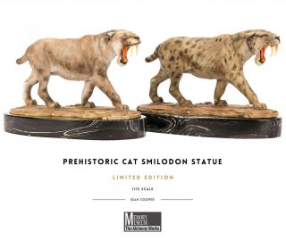 Mm × Alchemy 1/15 Smilodon Statue Saber - Toothed Cat Animal Model Gift Gk