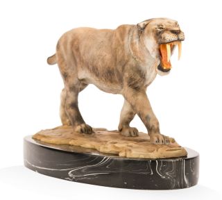 MM × Alchemy 1/15 Smilodon Statue Saber - toothed Cat Animal Model Gift GK 3
