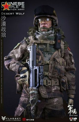 Desert Wolf Chinese People’s Liberation Army PLA 1/6 Figure Flagset FS - 73025 USA 3