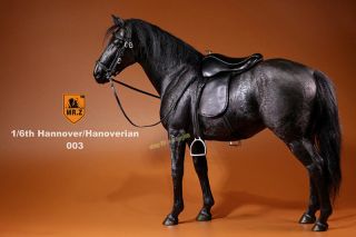 1/6 Scale Mr.  Z Germany Hannover Hanoverian Black Horse Figure Pre - Order Model