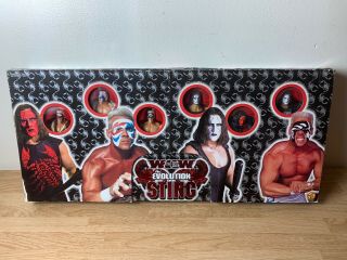 Wcw The Evolution Of Sting - Set Of 6 Wresting Action Figure By Toybiz Wwf Wwe