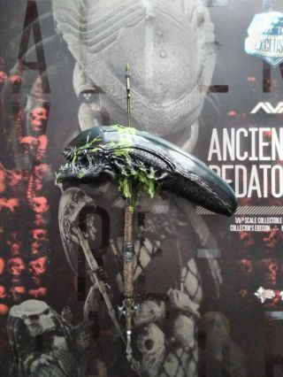 Hot Toys : Mms250 - 1:6 Scale - Avp (spear With Dismembered Alien Head)