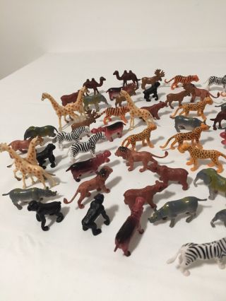 Terra by Battat – Wild Animals – Assorted Miniature Wild Animal Toys (60 Pc) 2