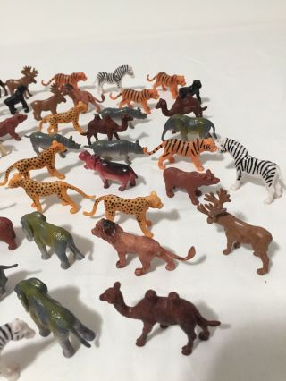 Terra by Battat – Wild Animals – Assorted Miniature Wild Animal Toys (60 Pc) 3