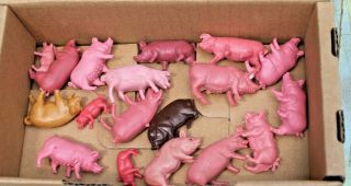 18 Piece Set Of Small Hard Plastic Animals: Pigs,  Hogs,  Swine