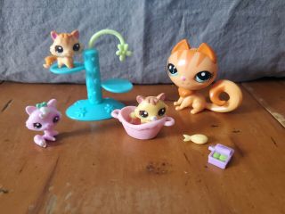 Littlest Pet Shop Lps Baby Kitty Playtime Cat 3504 Kittens 3505 3506 3507 W/acce