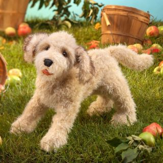 Labradoodle Dog Puppet by Folkmanis 3136,  Boys & Girls,  3 Years and Up 2