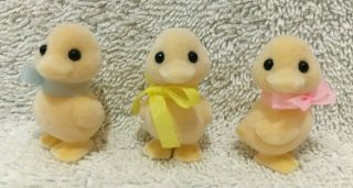 Rare Vintage Epoch Calico Critters Sylvania Family Ducklings Baby Ducks Set Of 3