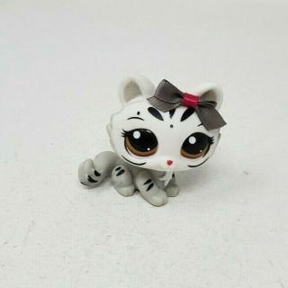 Littlest Pet Shop 3585 Sphynx Tiger 2 " Figure White & Gray W/ Fabric Bow Euc