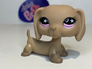 Dachshund Dog 932 - Authentic Littlest Pet Shop - Hasbro Lps