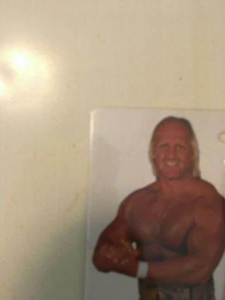 Hulk Hogan 1985 Watch WWF Wrestling Superstars Titan Sports De La Lutte 2