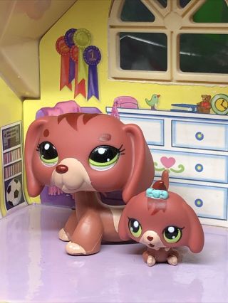 Littlest Pet Shop Lps Rare Mommy And Baby Set Dachshund Dog 3601 3602