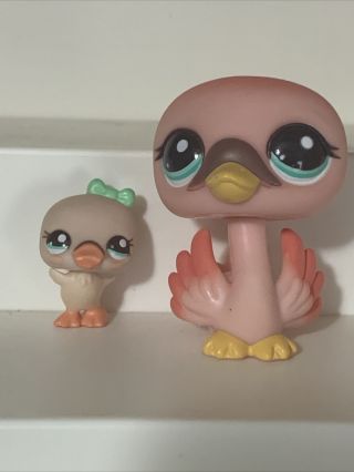 Littlest Pet Shop Lps Mommy And Baby Swan 2503 2504