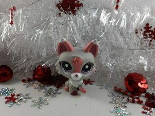 Littlest Pet Shop Grey Pink And White Accented Wolf Cat 1921