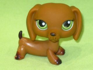 Hasbro Lps Littlest Pet Shop 139 Brown Dachshund Dog Dog Green Eyes Freckles