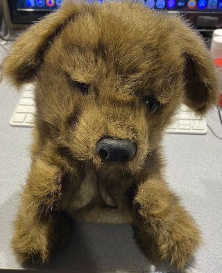 10” Tall Folkmanis Puppy Dog Puppet -