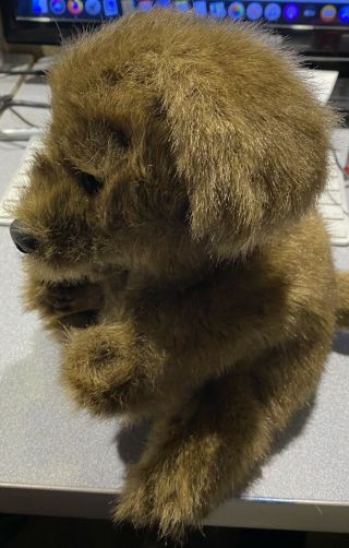 10” Tall Folkmanis Puppy Dog Puppet - 2
