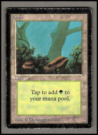 Forest Limited Edition Beta Magic The Gathering Mtg 1x X1 Hp