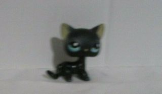 Littlest Pet Shop Lps Black Short Hair Cat 994 Blue Eyes