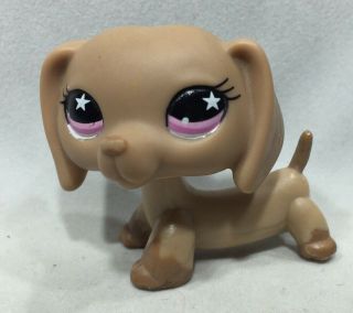 Littlest Pet Lps 932 Dachshund Dog W/ Pink Star Eyes Authentic Hasbro
