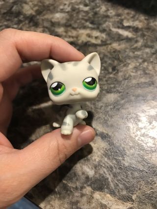 Authentic Littlest Pet Shop Lps Cat Shorthair 32 Gray Grey Green Eyes