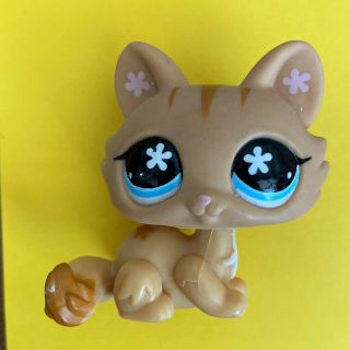 Littlest Pet Shop Lps Orange Striped Blue Flower Eyes Cat Kitten 649
