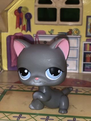 Littlest Pet Shop 74 Grey Shorthair Kitty Cat Paw Up With Blue Eyes Magnet