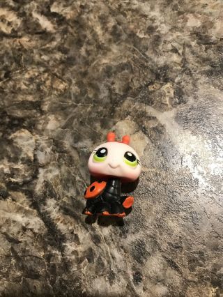 Littlest Pet Shop Ladybug Red And Black With Green Eyes 221 Authentic Lps