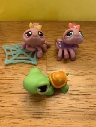 Littlest Pet Shop Pack Of 3 And 1 Accessory: 2 Spiders With A Web And 1 Turtle
