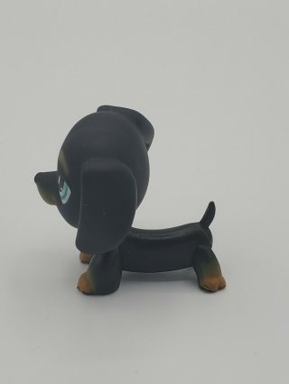 Littlest Pet Shop Dachshund Black Puppy Dog 325 Authentic LPS Blue Eyes Gift 2