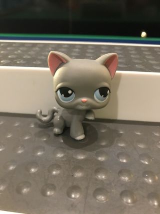 Littlest Pet Shop 66 Kitty Cat Kitten Gray Big Blue Eyes Red Magnet