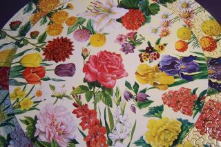 Complete Springbok Garden Flowers 6038 Vtg Jigs Pzl Maynard Reece 500,  Pc 1960 