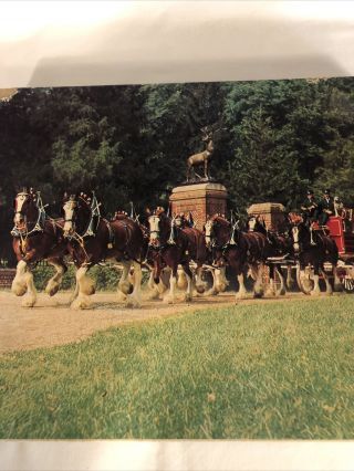 Vintage 1987 Anheuser - Busch Budweiser Beer Clydesdales 550 Piece Jigsaw Puzzle 2
