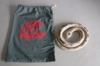 Wwf Ljn Jake The Snake Roberts Rubber Snake Toy With Bag Rare