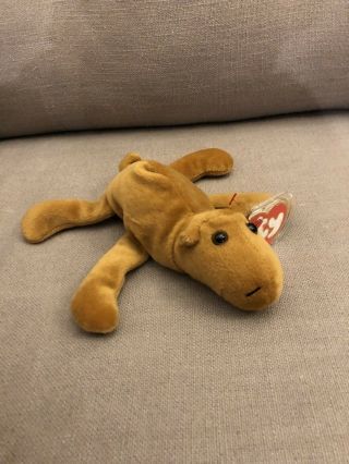 Ty Beanie Baby Humphrey the Camel 3rd 1st Retired Rare PVC Not Authenticated 2