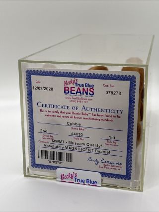 Authenticated True Blue Beans Ty Beanie Babies Cubbie 2nd/1st Mwmt Mq