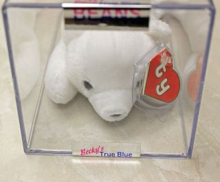 Authenticated Chilly - CANADIAN MWMT MQ 2nd/1st gen Ty Beanie Baby AP 11095 6